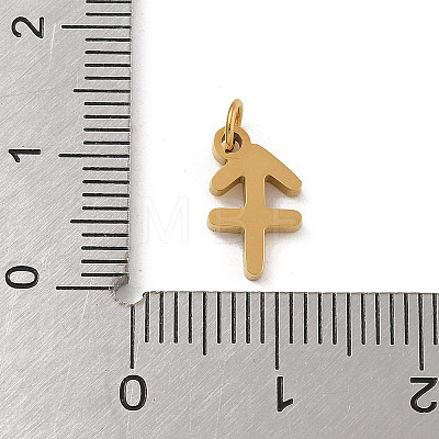 304 Stainless Steel Charms STAS-R001-04G-09-1