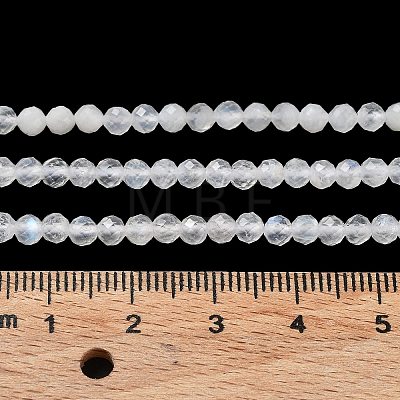 Natural Rainbow Moonstone Beads Strands G-J400-E12-01-1