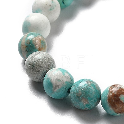 Natural Magnesite Beads Strands G-L555-02C-02-1