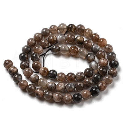 Natural Black Moonstone Beads Strands G-A219-A01-03-1