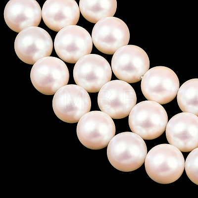 Electroplated Shell Pearl Beads Strands BSHE-C011-01D-1
