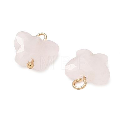 Natural Mixed Stone Pendants KK-D289-61G-1