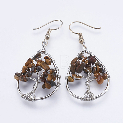Natural Gemstone Dangle Earrings EJEW-F147-H-1