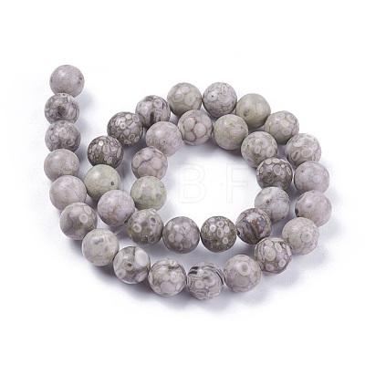 Natural Maifanite/Maifan Stone Beads Strands G-F353-4mm-1