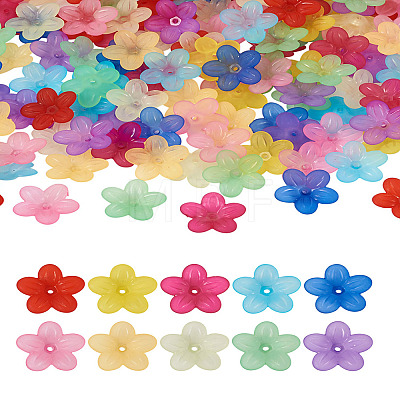 Yilisi 200Pcs 10 Colors Frosted Acrylic Bead Caps MACR-YS0001-02-1