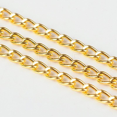 Iron Twisted Chains Curb Chains X-CHS003Y-G-1
