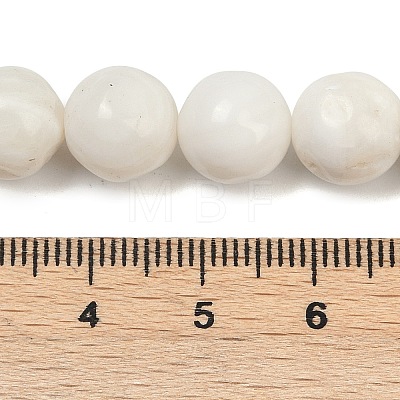 Natural White Shell Beads Strands BSHE-U002-01-1