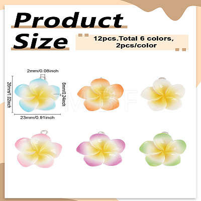 12Pcs 6 Colors Resin Pendants RESI-LP0001-59-1