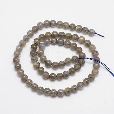 Natural Labradorite Round Bead Strands G-M262-5mm-09-1