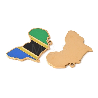 304 Stainless Steel & Enamel Pendants SA-CBA6ECE-01F-G-1