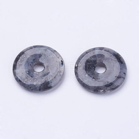 Natural Larvikite Pendants G-F524-B01-1