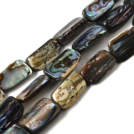 Natural Abalone Shell/Paua Shell Beads Strands BSHE-D300-01B-1