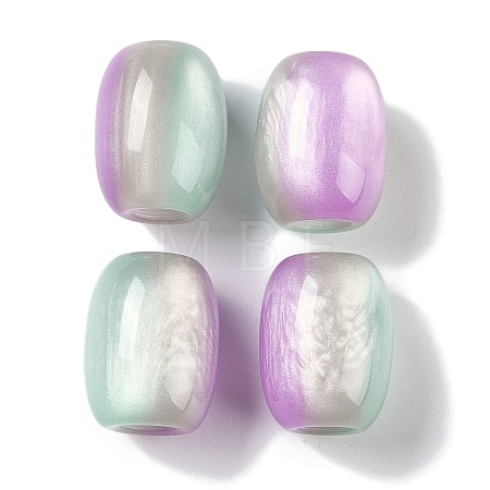 Triple Color Resin European Beads RESI-F055-13G-1