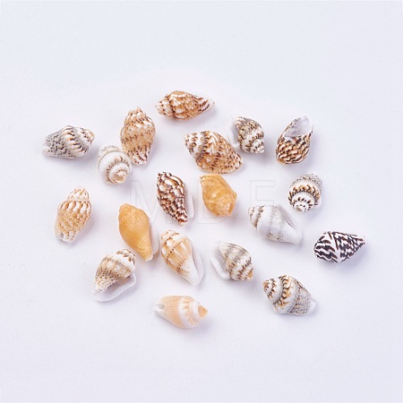 Shell Beads BSHE-P026-35-1