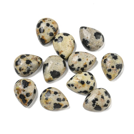 Natural Dalmatian Jasper Cabochons G-Q173-02C-20-1