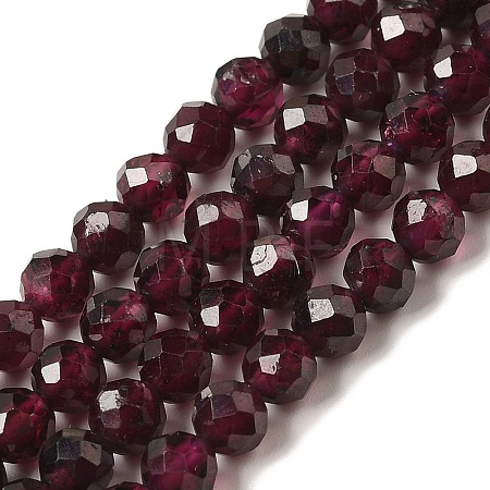 Natural Garnet Beads Strands G-F460-28-01-1