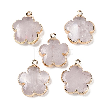 Natural Quartz Crystal Pendants G-P566-01G-06-1
