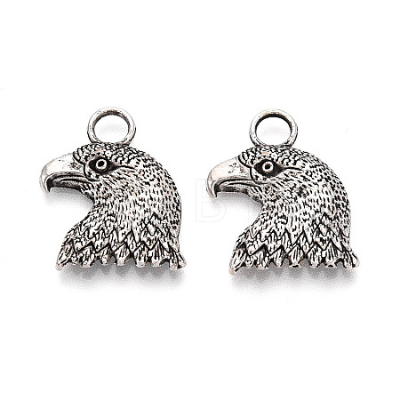 Tibetan Style Alloy Pendants TIBEP-T053-12AS-1