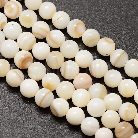 Natural Freshwater Shell Round Bead Strands SHEL-M013-01-1