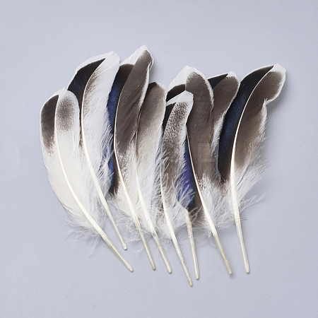 Feather Costume Accessories FIND-Q046-15F-1