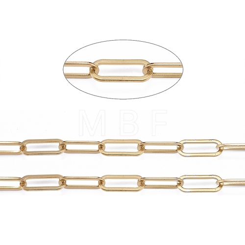 3.28 Feet 304 Stainless Steel Paperclip Chains X-CHS-F011-01A-G-1