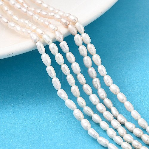 Natural Cultured Freshwater Pearl Beads Strands PEAR-I007-01L-01B-1