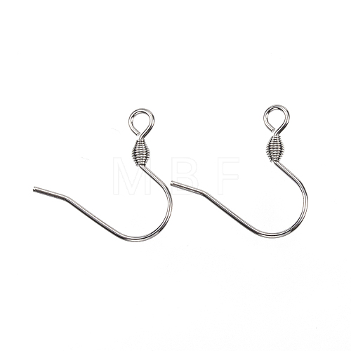 Tarnish Resistant 304 Stainless Steel Earring Hooks X-STAS-D448-038P-1