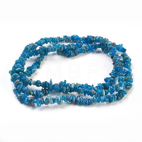Natural Apatite Beads Strands G-F575-08-1