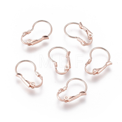 304 Stainless Steel Leverback Earring Findings STAS-H380-08RG-1