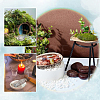 Natural Paua Shell Display Decorations DJEW-WH0042-147-6