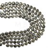 Natural Gray Labradorite Beads Strands G-L660-A02-01-5