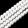 Shell Pearl Beads Strands X-BSHE-S301-10mm-04-1