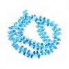 Crystal Glass Beads Strands GLAA-D033-22-2
