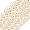 Glass Pearl Beads Strands X-HY-G002-01B-02-1