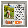 MDF Pet Photo Frames DIY-WH0525-004-1