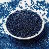MIYUKI Round Rocailles Beads X-SEED-G008-RR2273-2