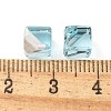 K9 Glass Imitation Austrian Crystal Beads GLAA-P069-01B-263-3