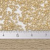 MIYUKI Delica Beads X-SEED-J020-DB1571-4
