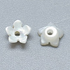 Natural White Shell Beads SSHEL-S260-014-2