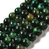 Dyed Natural Tiger Eye Beads Strands G-G102-A01-03-1