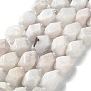 Natural Rainbow Moonstone Beads Strands G-C182-21-02-2