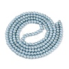 Baking Paint Glass Pearl Beads Strands DGLA-ZX001-05B-16-2