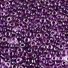 8/0 Glass Seed Beads SEED-A016-3mm-213-2