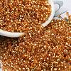 Glass Seed Beads X1-SEED-S042-04A-11-1