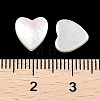 Natural White Shell Beads SSHEL-I026-09-3