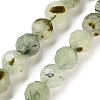 Natural Prehnite Beads Strands G-C150-B02-02-2