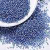 MIYUKI Delica Beads SEED-J020-DB1210-1