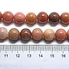 Natural Petrified Wood Round Beads Strands G-D356-C01-12mm-4