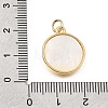 Brass & Natural Shell Pendants SH-CBA7C77-04G-3