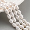 Natural Cultured Freshwater Pearl Beads Strands PEAR-P062-08H-2
